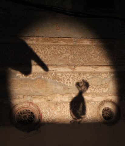 Cuentos de pocas luces Cuentos de pocas luces